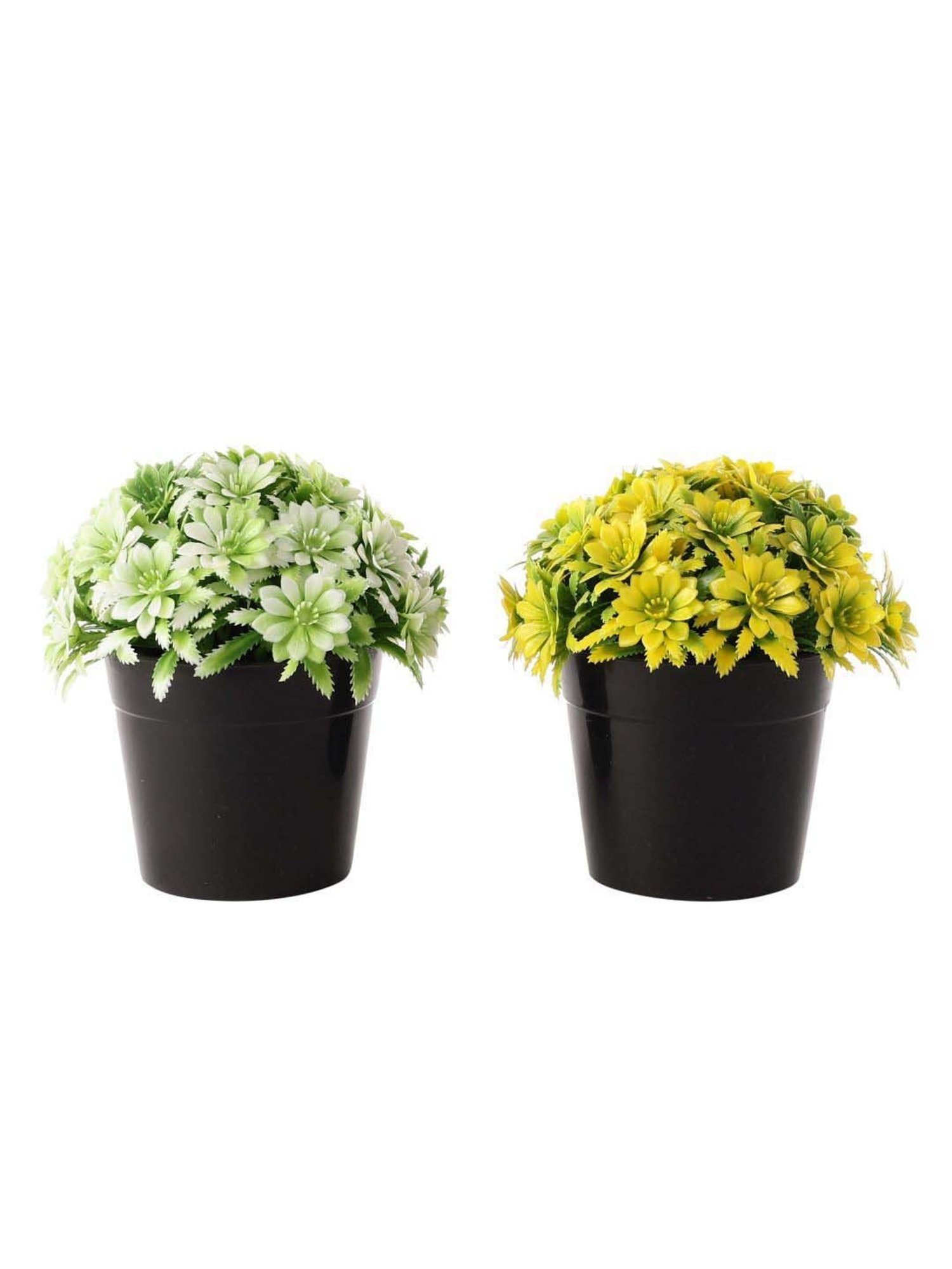 Foliyaj Multicolor Plastic Artificial Plants With Gerba Flowers - Set of 2
