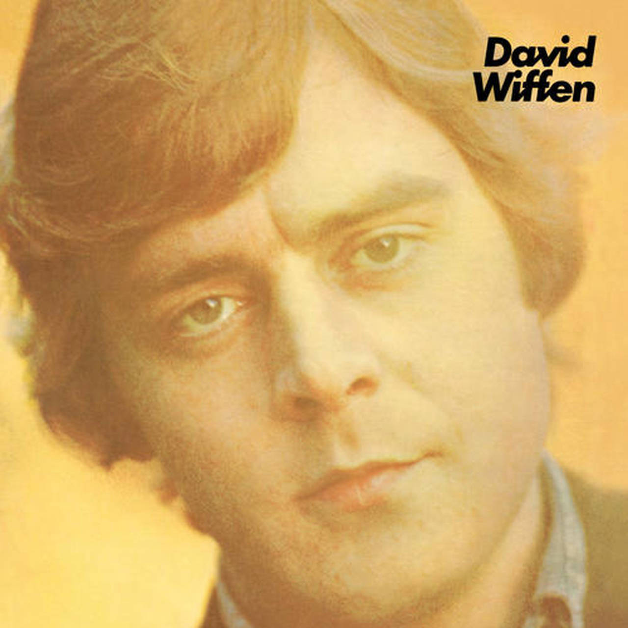 David Wiffen David Wiffen 180g LP (Vinyl)