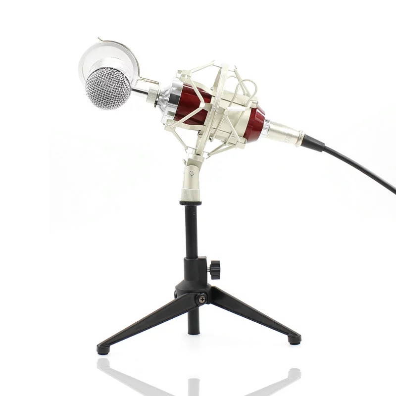 BM 8000 Professional Condenser Microphone bm8000 Audio Studio Vocal recording for Computer karaoke