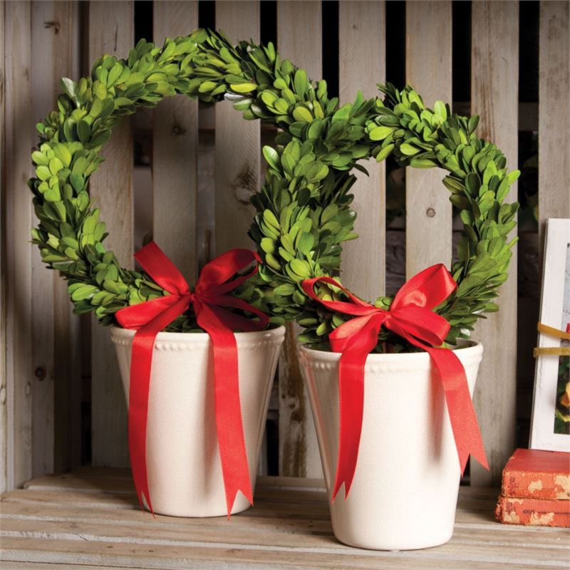 Napa Home and Garden 15" Cream/Green Preserved Boxwood Evergreen Planter Pot Christmas Wreath