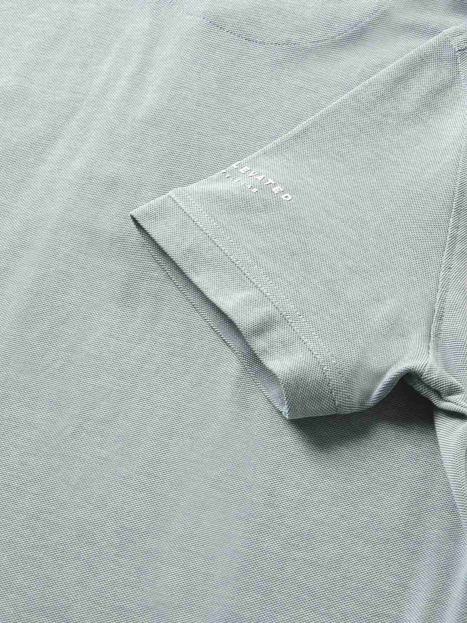 The Bear House Blue Cotton Regular Fit Polo T-Shirt