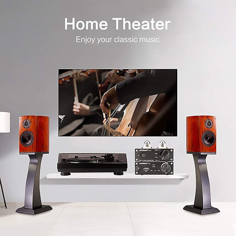 Tube T3 HiFi 6J2 Tube Phono Preamp Stereo Audio Tube Preamplifier with DC 12V Power Supply for Turntable MM Phonograph Record Player System