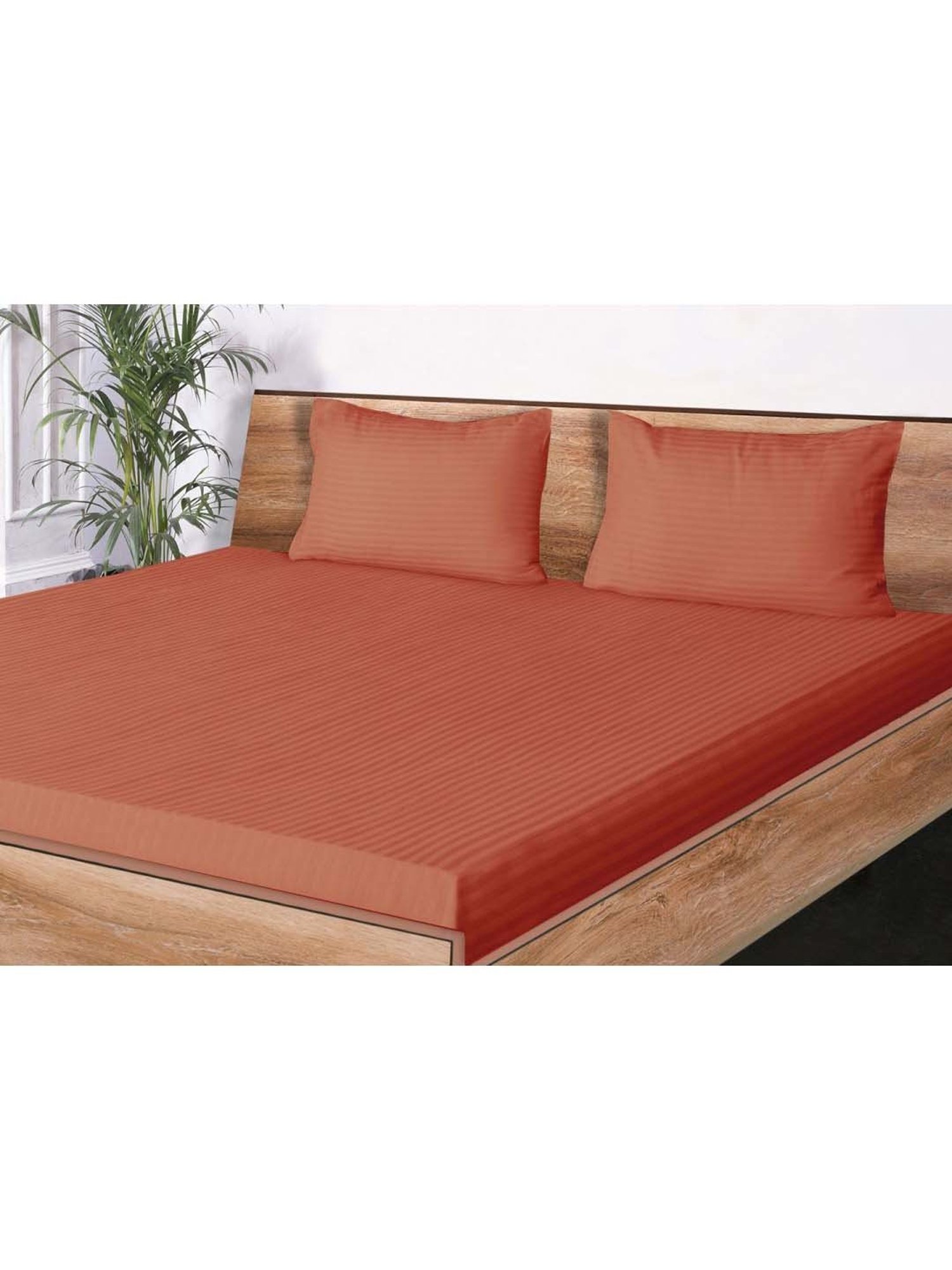 Mark Home Classic Rust Cotton 210 TC King Bedsheet with 2 Pillow Covers