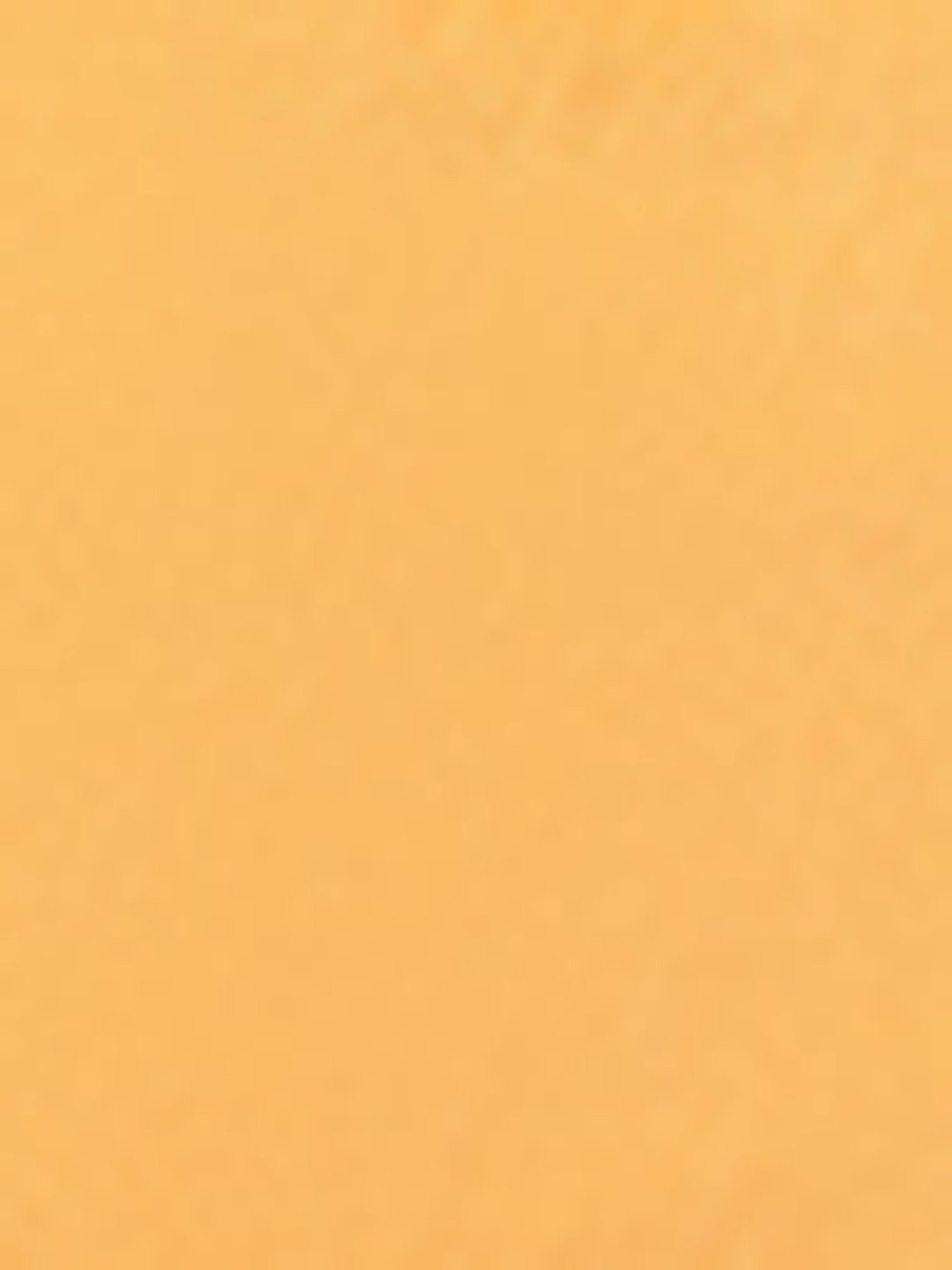 Biba Girls Orange Cotton Embroidered Casual Top and Tees