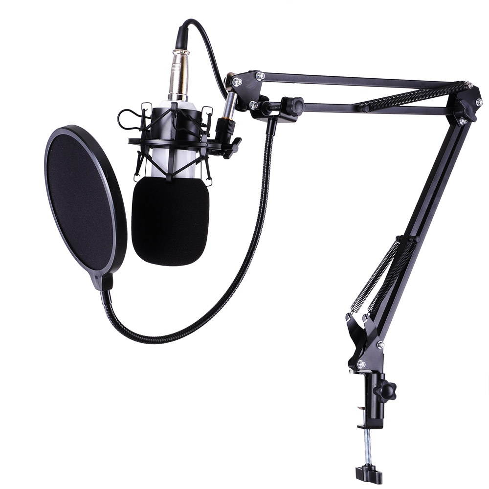 Pro Condenser Microphone w/ Shock Mount Arm Stand Pop Filter For Recording Studio Stage