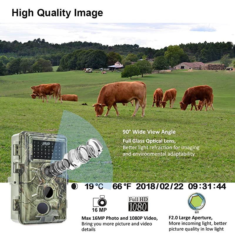Trail Camera 16MP 1080P Game Camera with No Glow Night Vision Up to 65ft 02s Trigger Time Motion Activated 24 Color Screen Waterproof Wildlife Hunting Camera