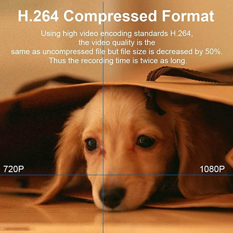 Security Camera WiFi IP Home CameraR2C 1080P HD Baby Monitor Wireless Pet Camera with AI Human Sound Detection Free Cloud Included 2Way AudioWorks with Alexa PanTilt Night Vision