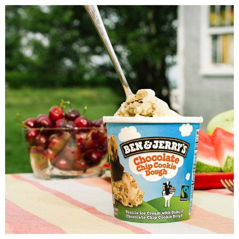 Ben & Jerry's Ice Cream Chocolate Chip Cookie Dough - 16oz