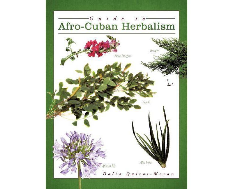 Guide to Afro-Cuban Herbalism - by  Dalia Quiros-Moran (Paperback)