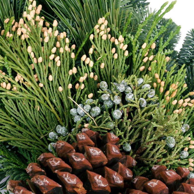 Live Fresh Cut Pacific Northwest Grape Vine and Greens 20" Wreath - Van Zyverden