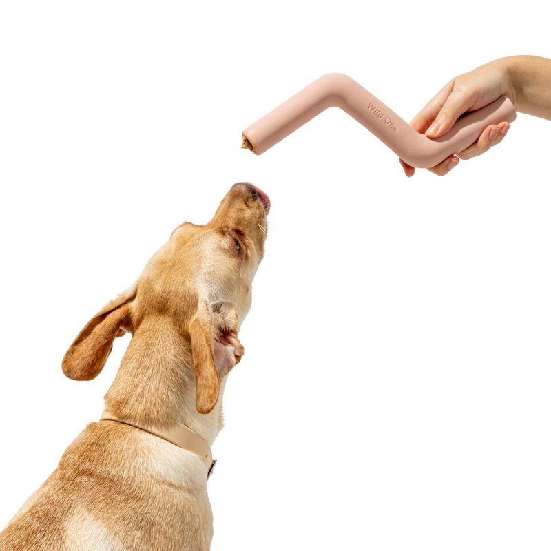 Wild One Bolt Bite Chew & Treat Toy for Dogs - Pink