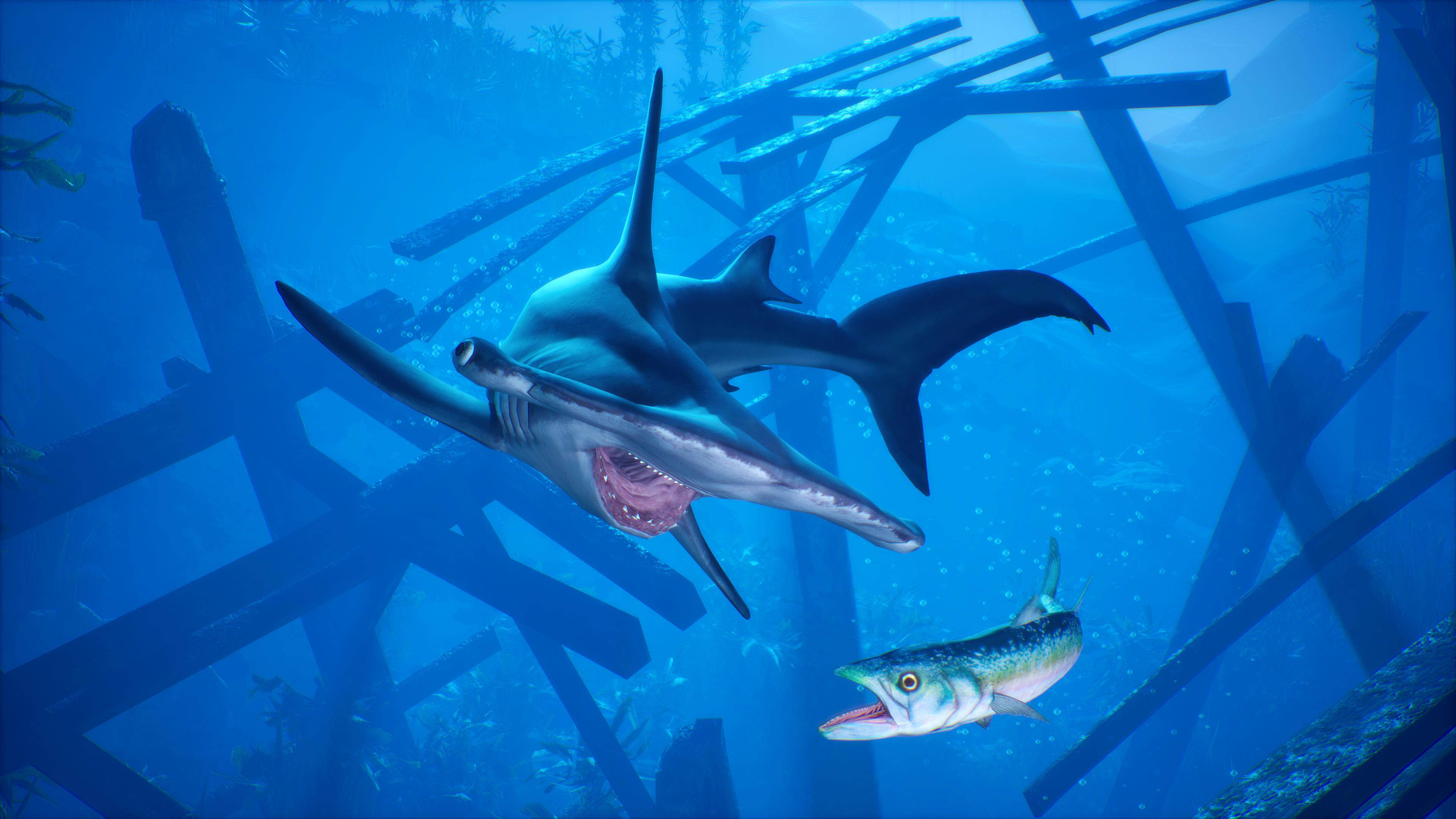 Ancestors: The Humankind Odyssey (Steam) [Online Game Code]