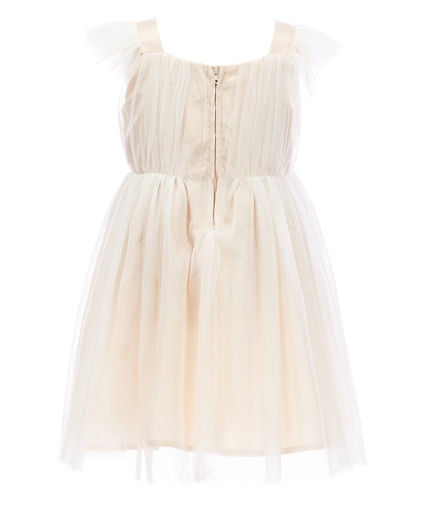 Popatu Little Girls 2-8 Tulle Flutter Sleeve Dress