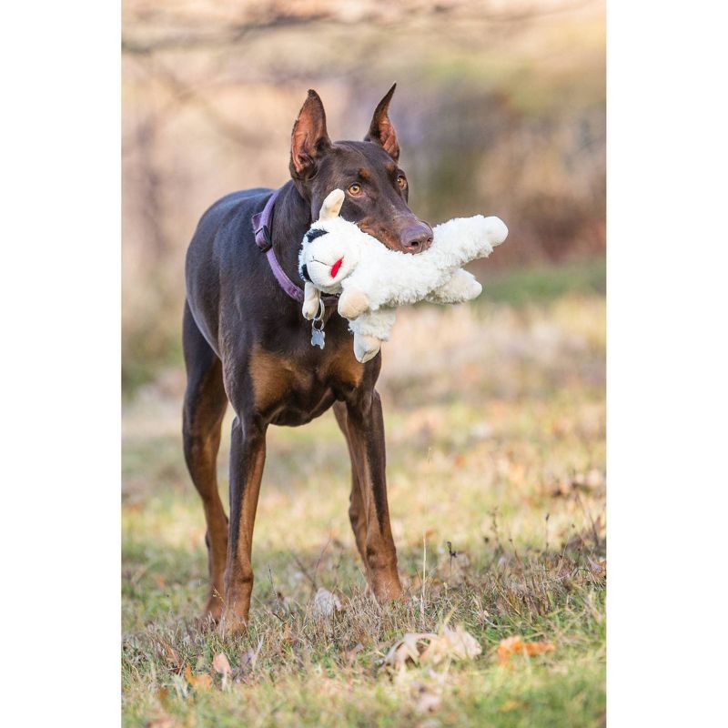 Multipet Lamb Chop Dog Toy - 10.5"