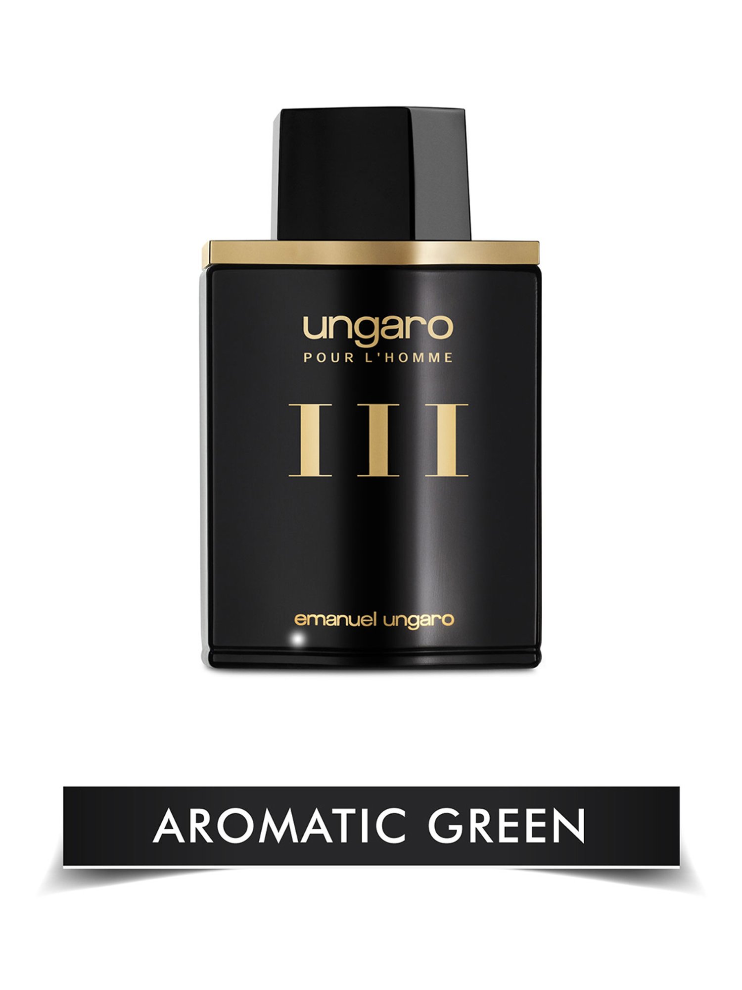 Emanuel Ungaro Pour L' Homme III Eau de Toilette - 100 ml