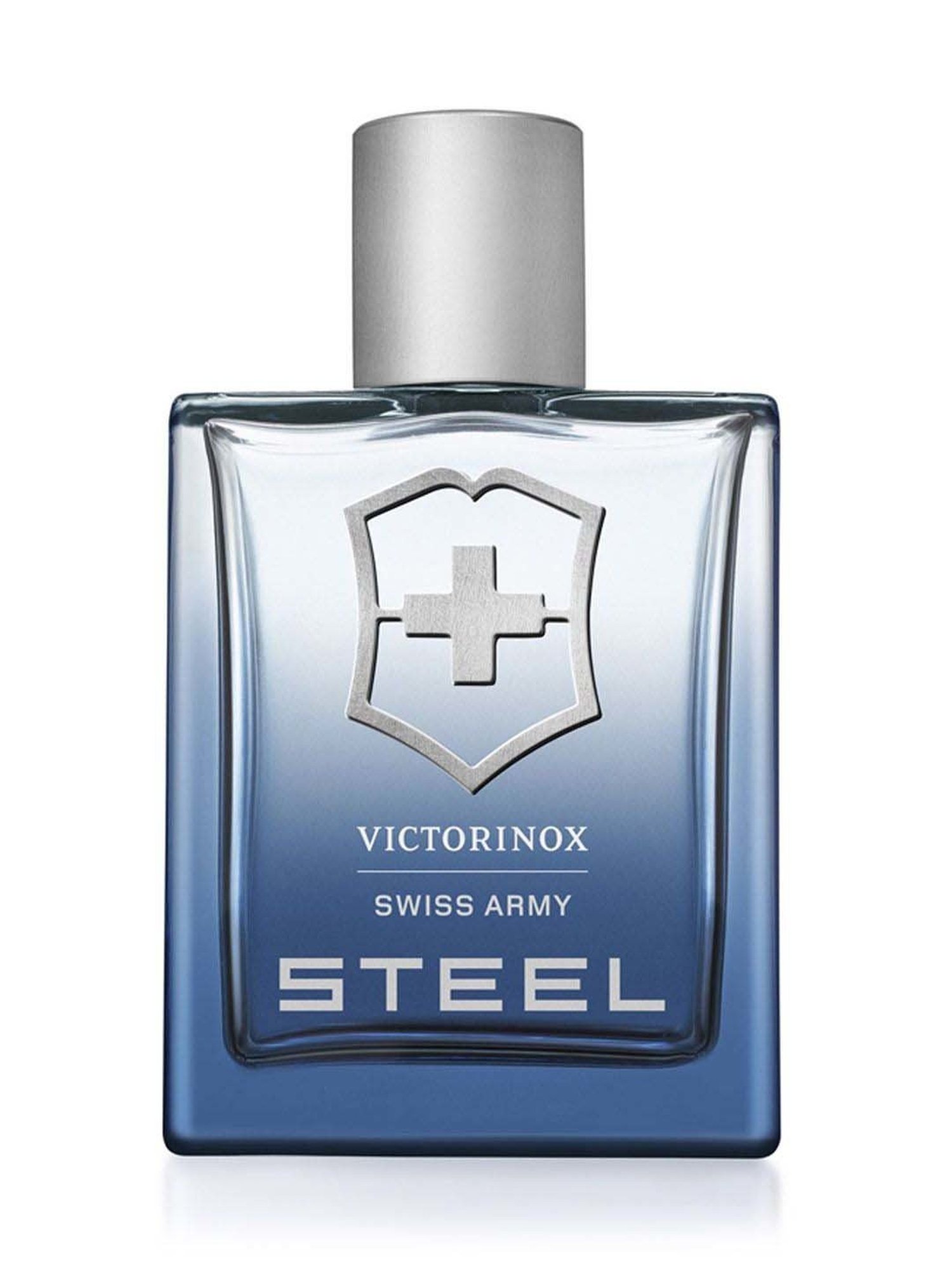 Steel Eau de Toilette for Men - 100 ml