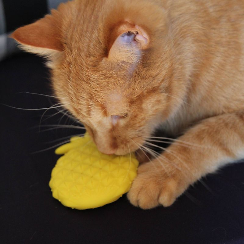 Pet Zone Boredom Busters Pineapple Dental Chew Cat Toy - Yellow