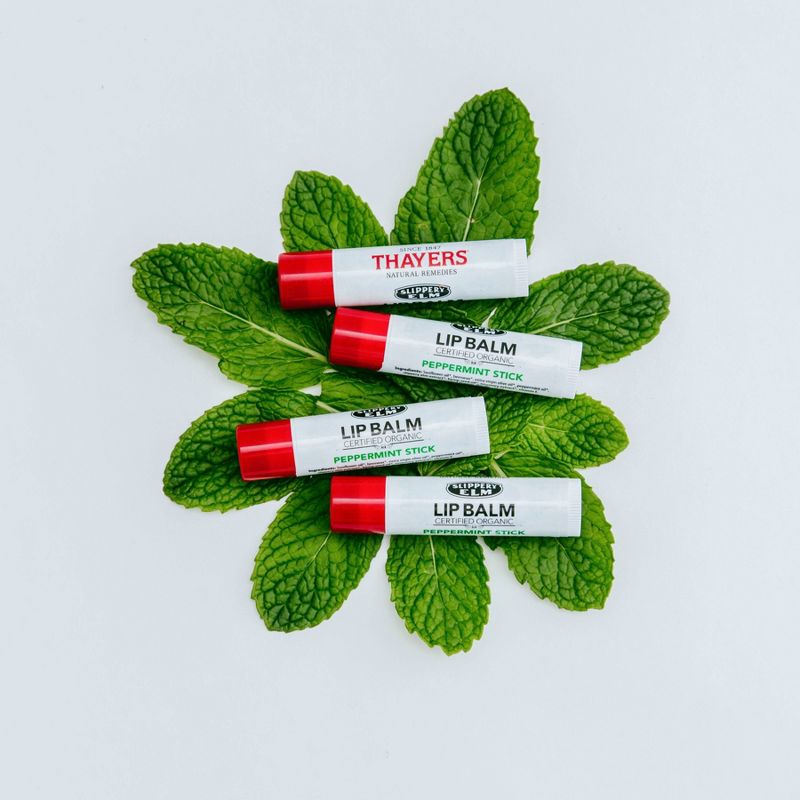Thayers Organic Slippery Elm Lip Balm Peppermint Stick - .15oz