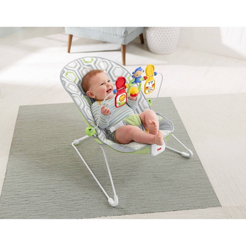 ​Fisher-Price Baby Bouncer