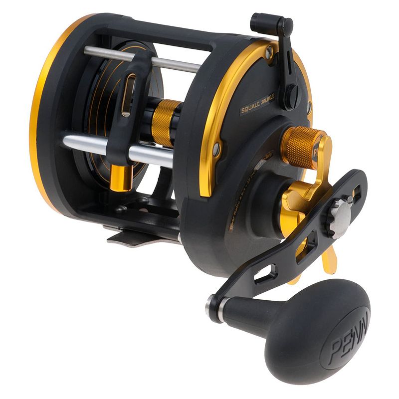 Penn SQL20LWLH Squall Level Wind Left Hand Fishing Reel with 2 Stainless Steel Bearings for Freshwater or Saltwater Fishing, Size 20 (Black Gold)
