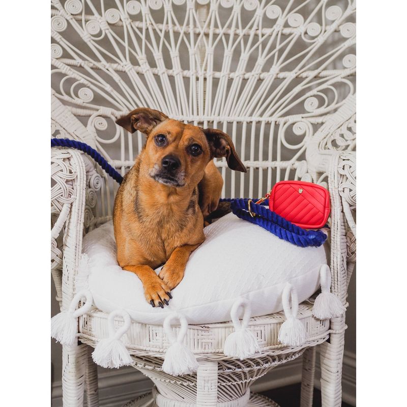 Cat Litter Box Drawstring Liners - Large - up & up™