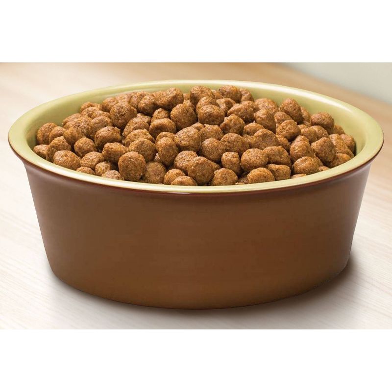 Rachael Ray Nutrish Zero Grain Chicken & Sweet Potato Recipe Dry Dog Food - 28lbs