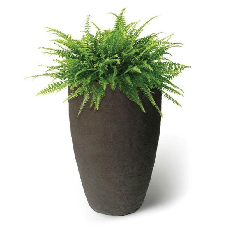 Algreen Products 87311 Athena Self-Watering Flower Pot and Planter, Brownstone