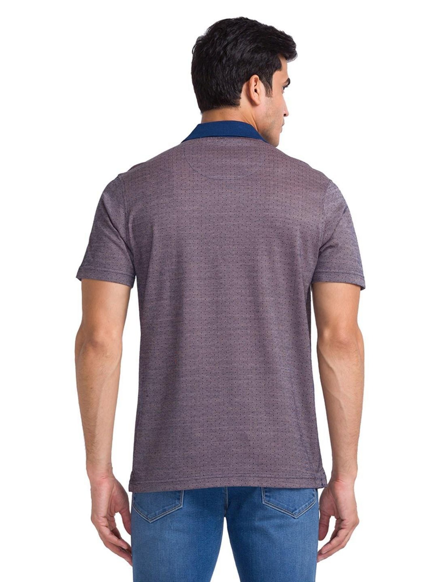 Park Avenue Red & Blue Cotton Slim Fit Self Pattern Polo T-Shirt