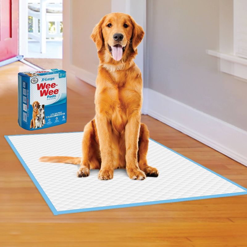 Four Paws Wee-Wee Dog Pads - 21ct - XL