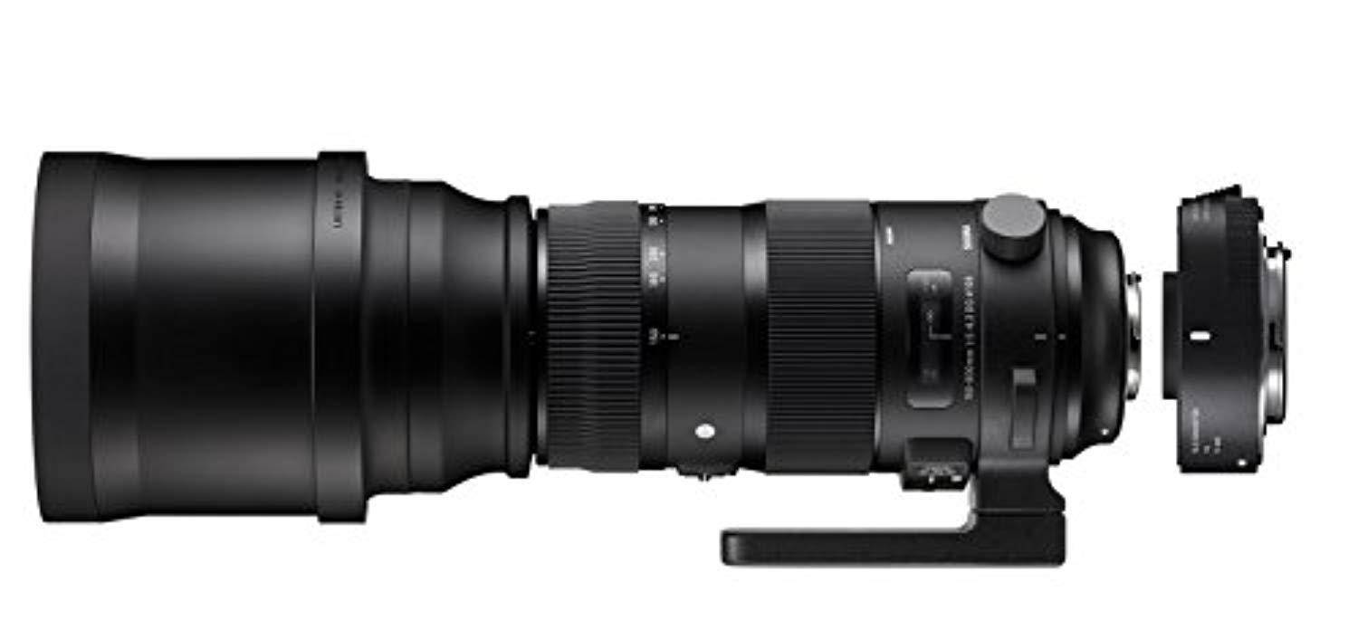 Sigma ZA954 150-600mm F5-6.3 DG HSM Sport Lens with 1.4X Tele-Converter Kit for Canon (Black)