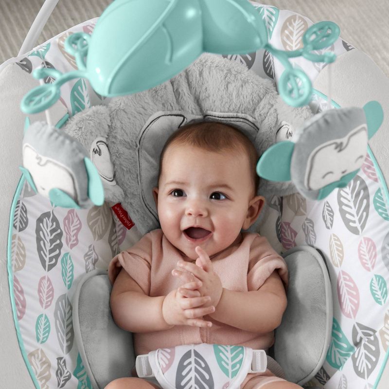 ​Fisher-Price Baby Bouncer