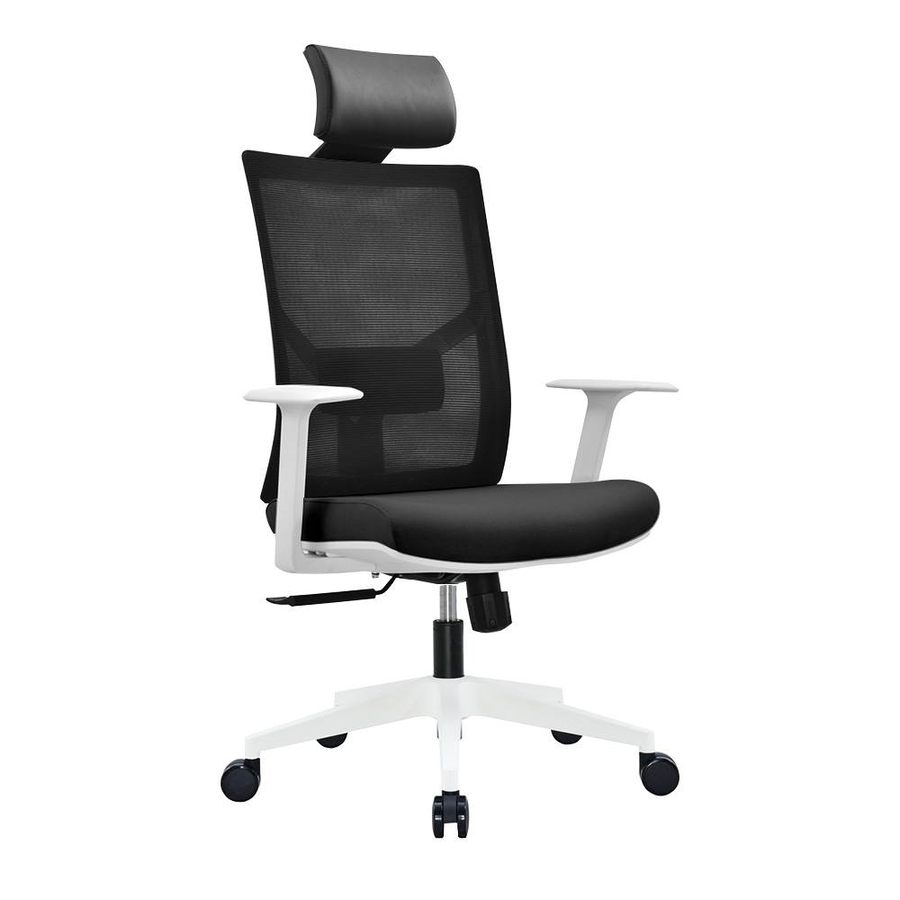 Ergonomic Multi Function Mesh Office Chair with Lumbar Support, Adjustable Armrest (With Headrest, Black and White)