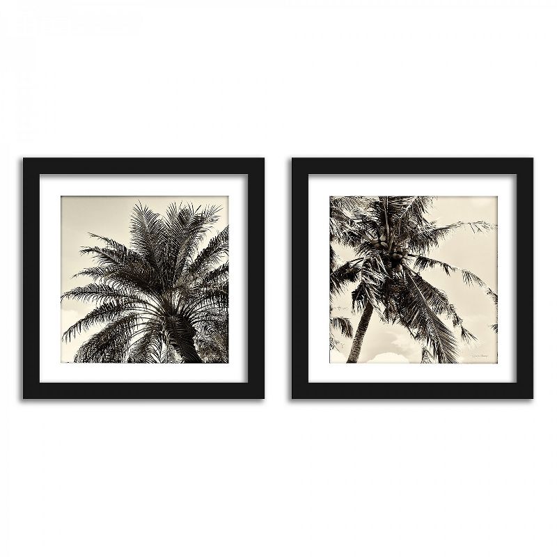 Americanflat Sepia Palm Tree - Set of 2 Framed Prints by Wild Apple
