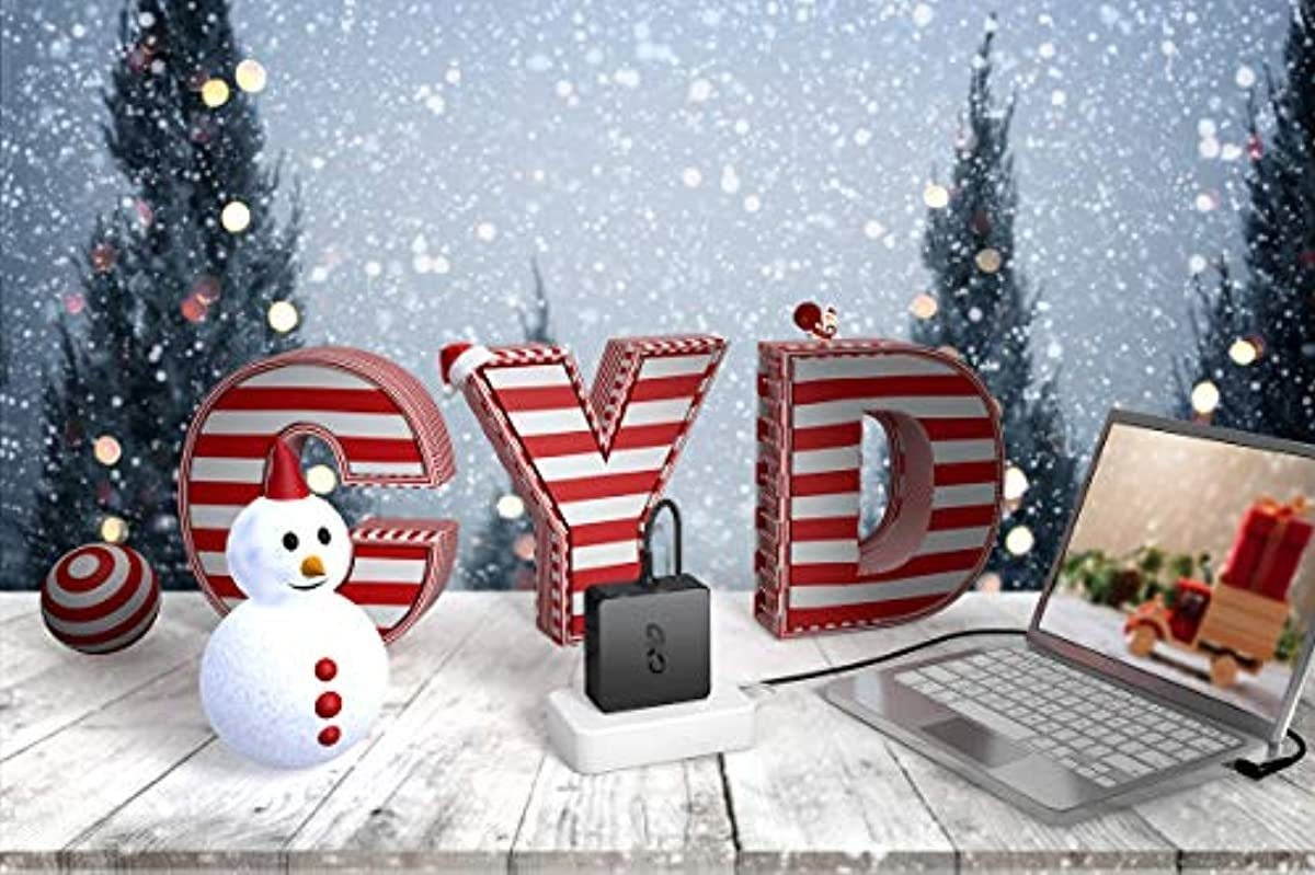 CYD 33W Laptop Charger Compatible for Asus Model Laptop Charger c300ma x200ca x200ma x200la x201e x202 x202e adp-33aw a exa1206uh exa1206eh flip q302l ad890526 ad890528 ad89032 e402ma t300l