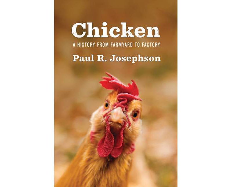 Engineering and Social Justice - (Synthesis Lectures on Engineering, Technology and Society) by  Donna Riley (Paperback)