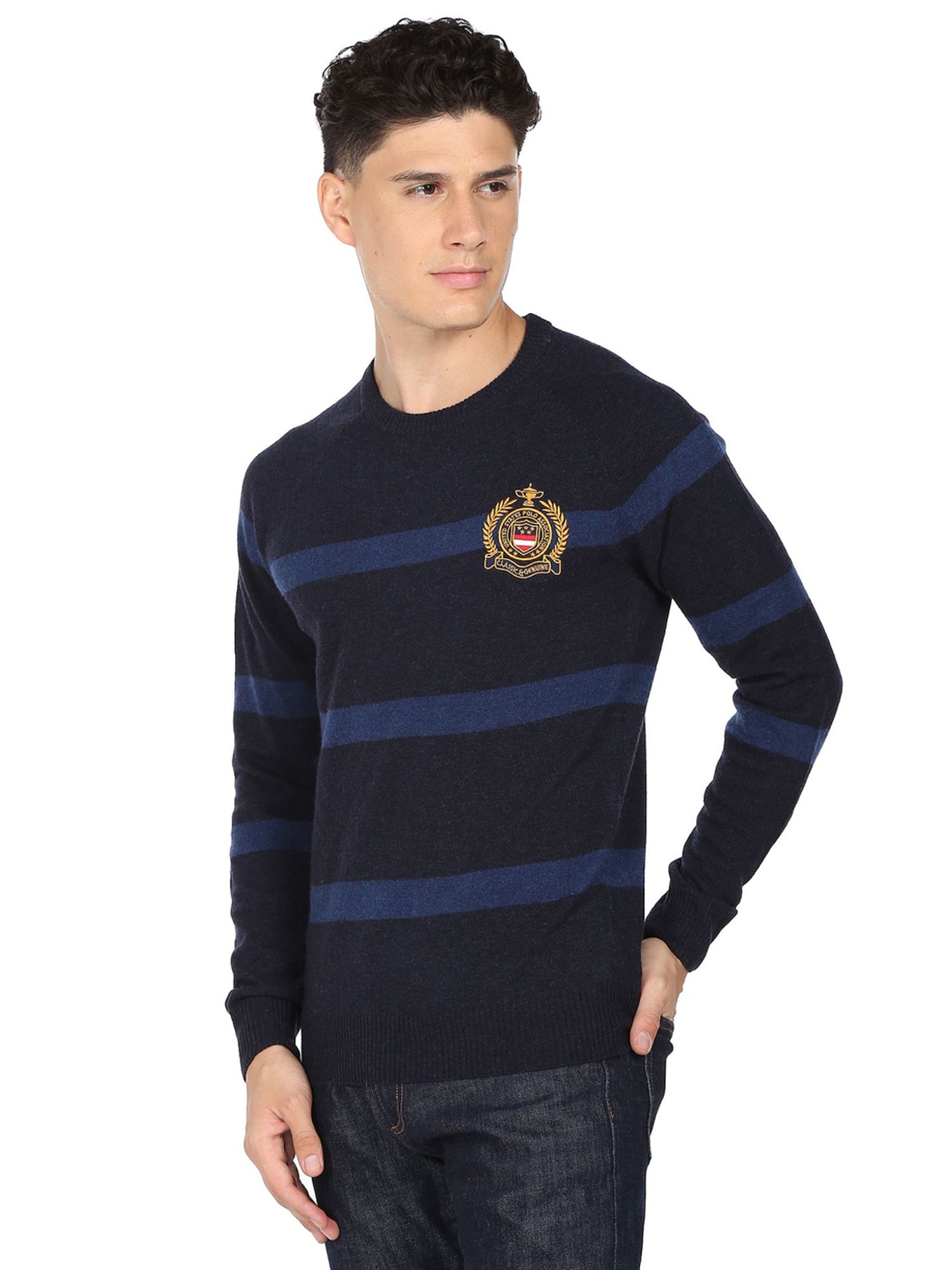 U.S. Polo Assn. Navy Blue Regular Fit Striped Sweater