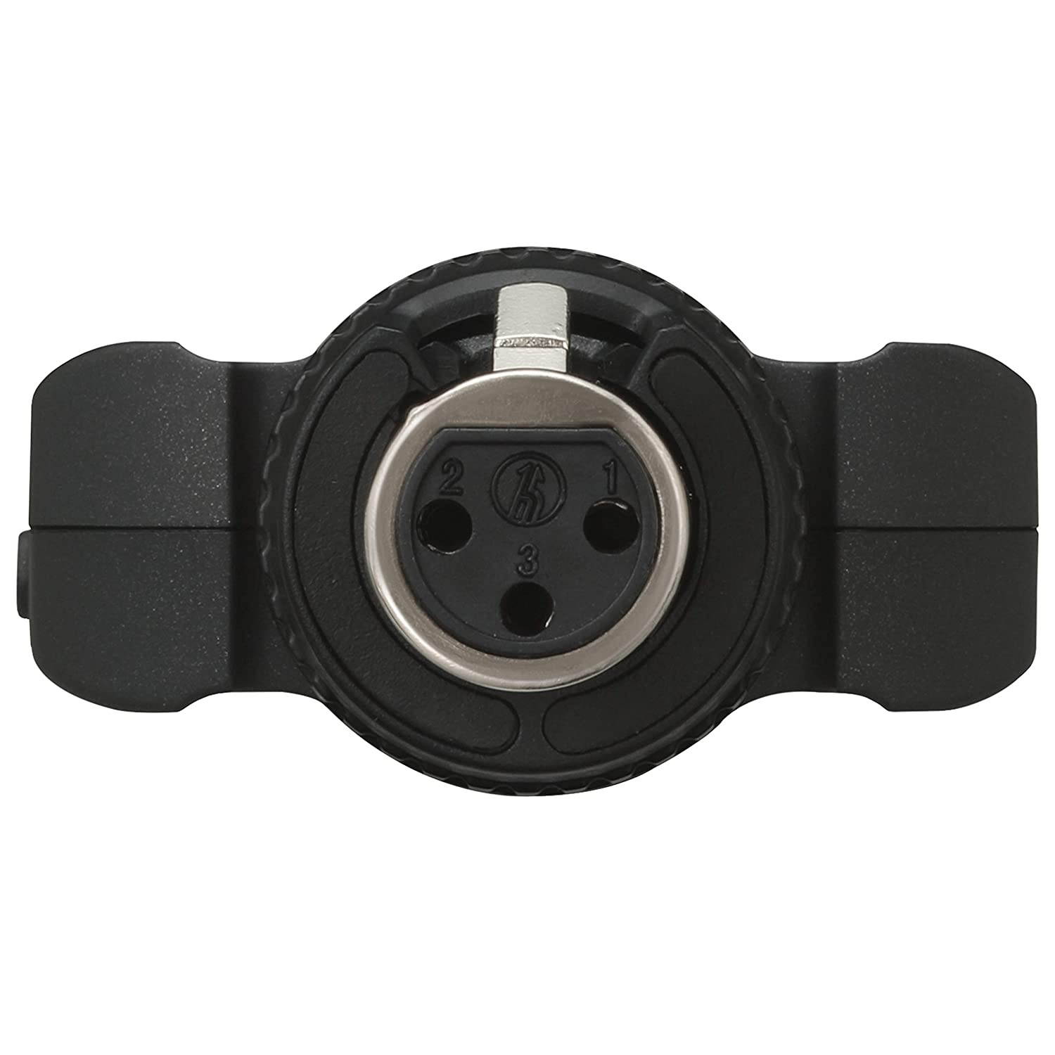 Tascam DR-10X Plug-On Linear PCM Digital Audio Recorder for XLR Microphones