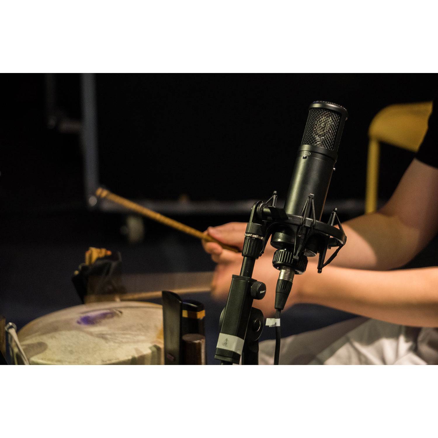 sE Electronics sE2300 microphone with shock mount,pop filter and thread adapter Black