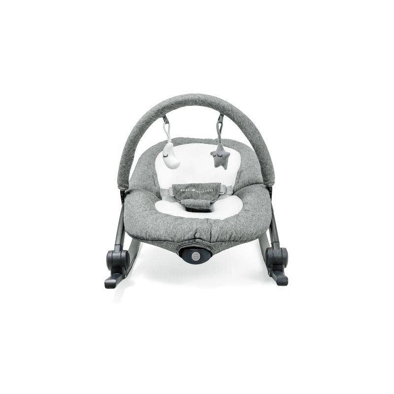 ​Fisher-Price Baby Bouncer
