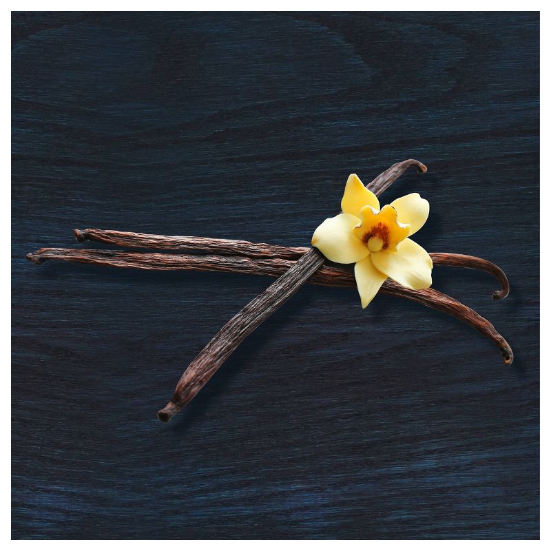 Talenti Madagascan Vanilla Bean Gelato - 16oz