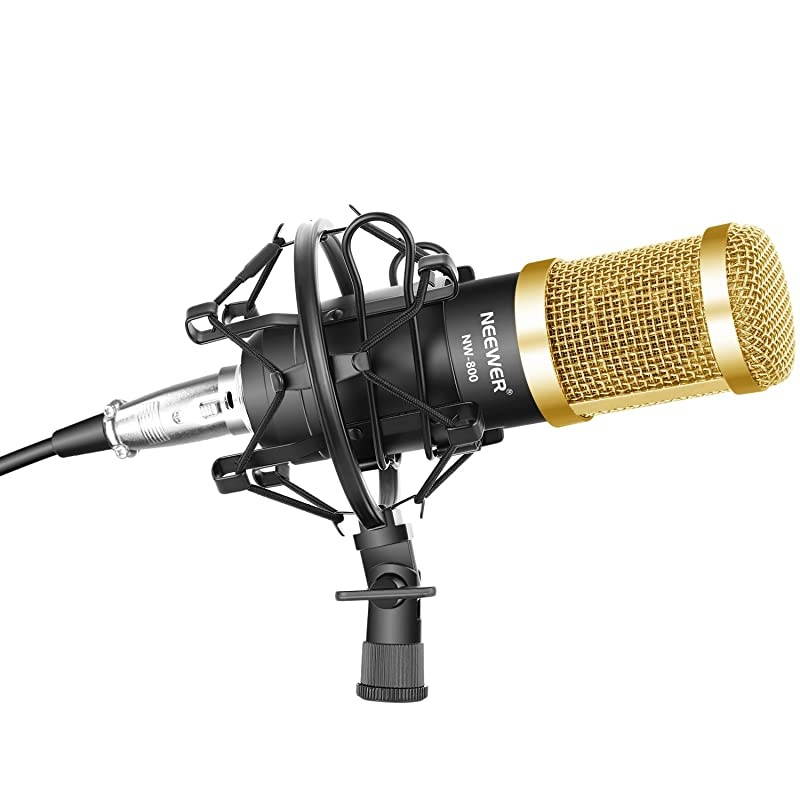 Professional Studio Broadcasting Recording Condenser Microphone & NW- 35 Adjustable Recording Microphone Suspension Scissor Arm Stand with Shock Mount and Mounting Clamp Kit