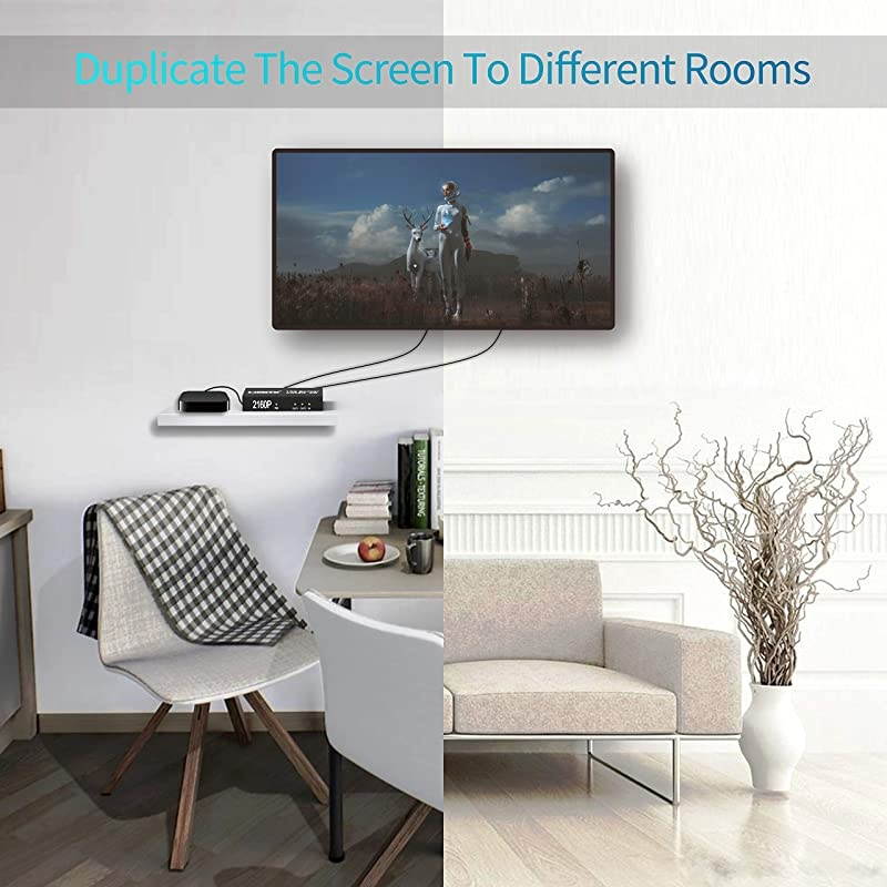 Splitter 1 in 2 Out, 1x2 Powered Splitter, V1.4 Supports Full 4K HD 1080P, 2160P & 3D Resolutions for DVD player, laptop, HDTV or other Devices to two display devices with ports.