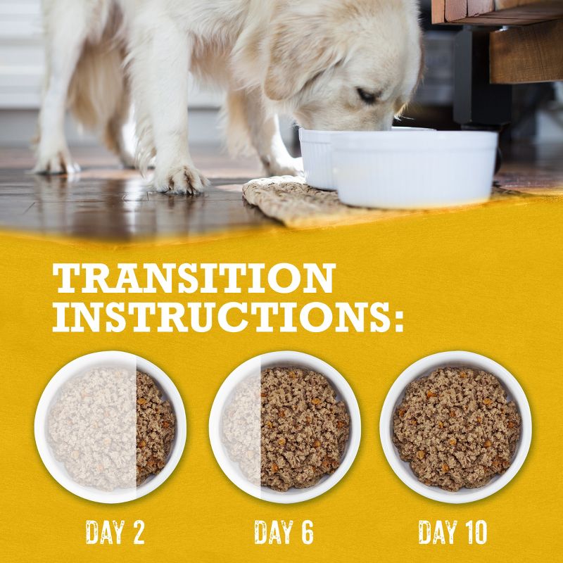 Purina Beyond Grain Free Ground Entrée Chicken, Beef & Whitefish Recipes Wet Dog Food - 13oz/6ct Variety Pack