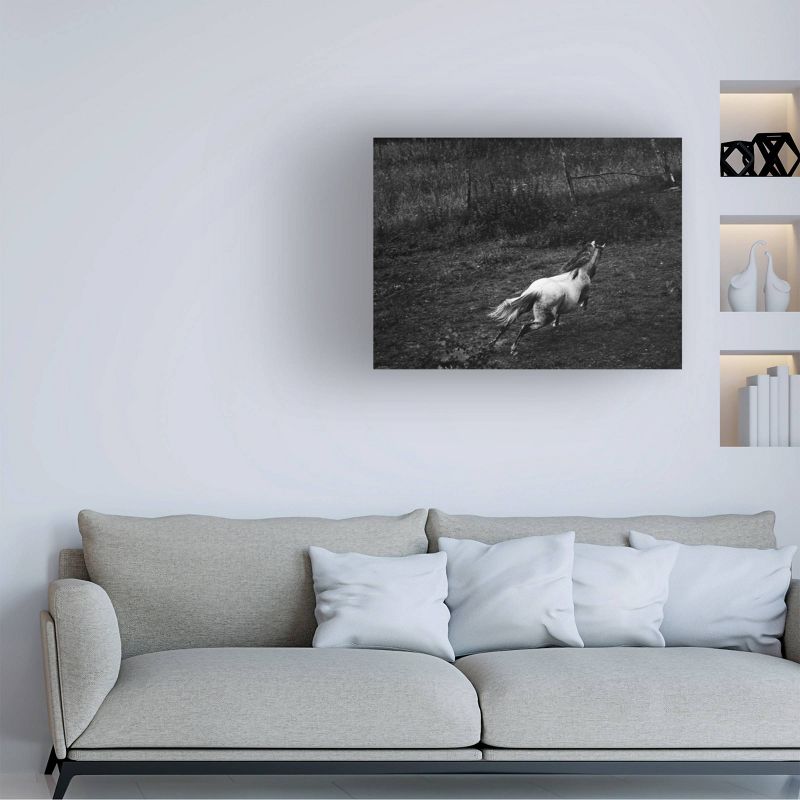 35" x 47" Aledanda 'Running Horse' Unframed Canvas Art - Trademark Fine Art