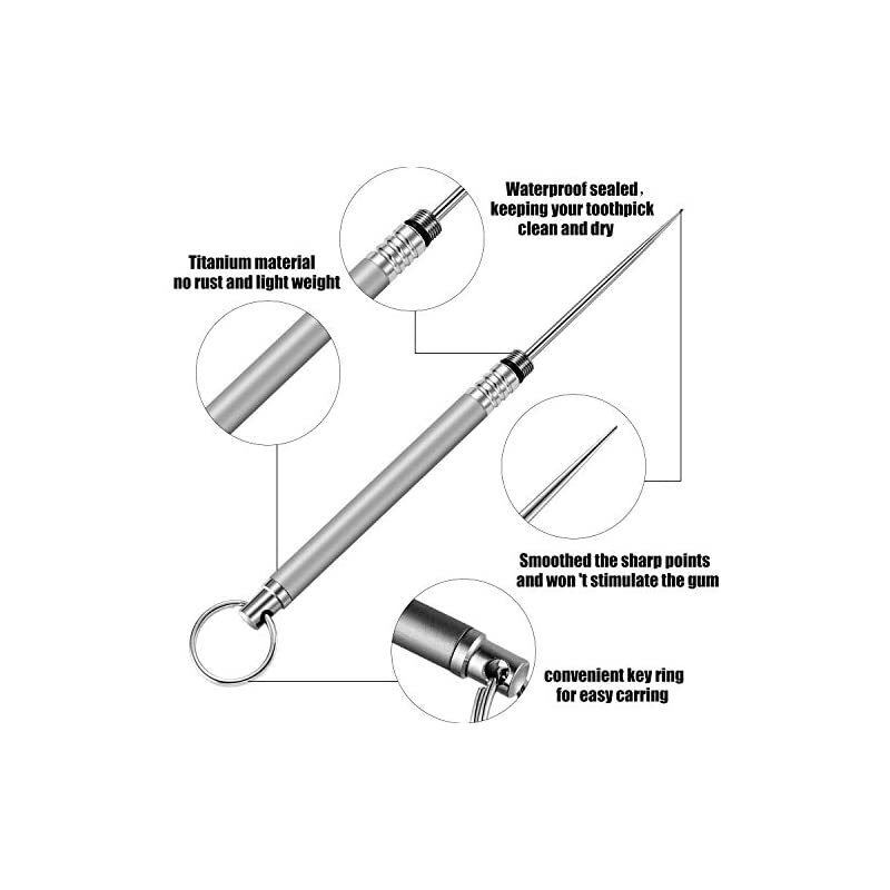 Pieces Portable Titanium Toothpicks Pocket Toothpick Metal Toothpick Holder for Outdoor Picnic and Camping (Silver)