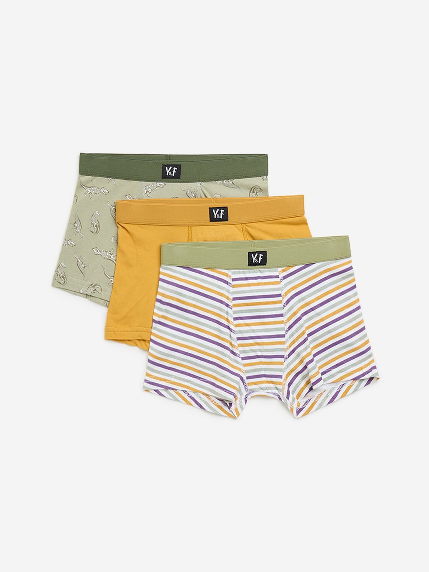 Y&F Kids by Westside Light Green Cotton Briefs - Pack of 3