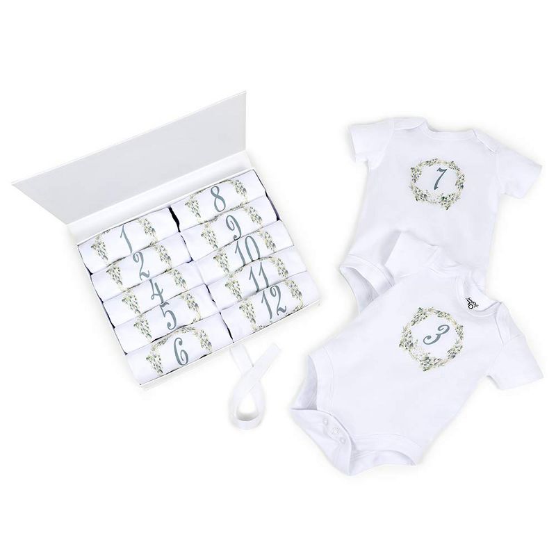 JumpOff Jo Baby Milestone Onesies, 12 Bodysuit Set for Photo Memories, Seize The Moments, Botanical