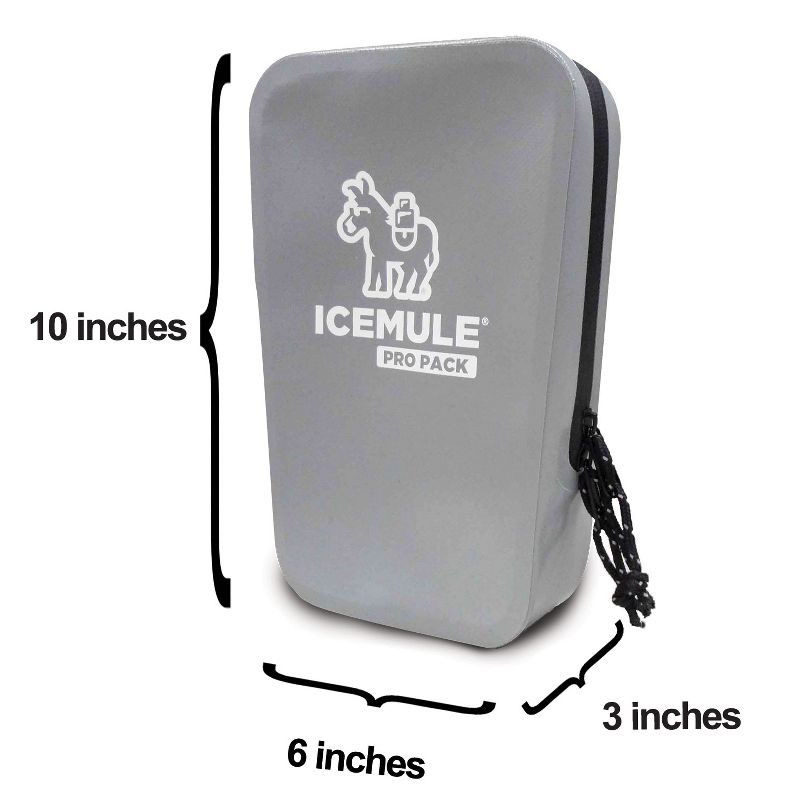 Scotty Sure Stop Terminal Kit