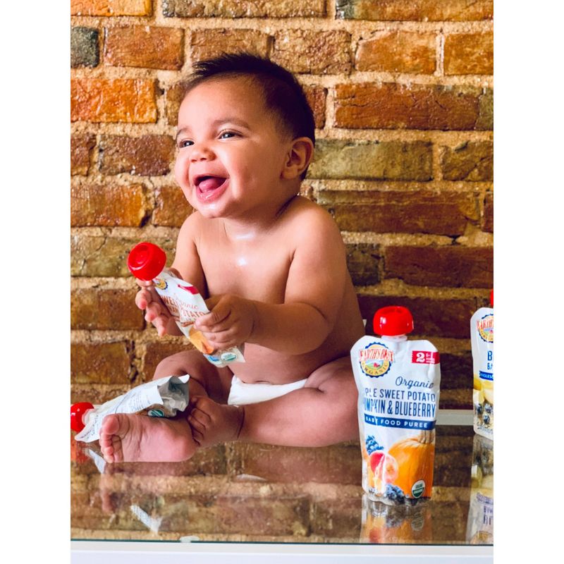 Earth's Best Organic Stage 2 Apple Sweet Potato Pumpkin & Blueberry Baby Food - 4oz
