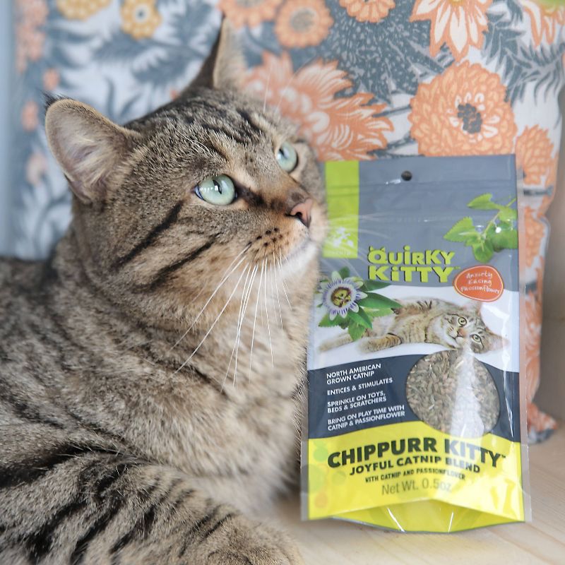 Quirky Kitty Chippurr Kitty North American Catnip with Passionflower Blend Cat Treats - 0.5oz